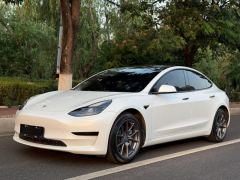 Tesla Model 3 556km Rear-Wheel Drive Edition - photo 1