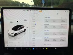 Tesla Model 3 556km Rear-Wheel Drive Edition - photo 14
