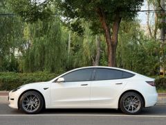 Tesla Model 3 556km Rear-Wheel Drive Edition - photo 2