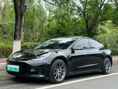 Tesla Model 3 556km Rear-Wheel Drive Edition - ფოტო 1