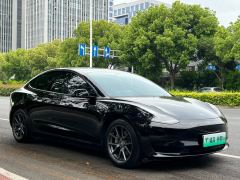 Tesla Model 3 556km Rear-Wheel Drive Edition - ფოტო 7