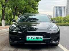 Tesla Model 3 556km Rear-Wheel Drive Edition - ფოტო 8