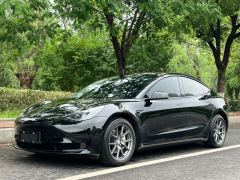Tesla Model 3 556km Rear-Wheel Drive Edition - ფოტო 1