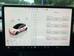 Tesla Model 3 556km Rear-Wheel Drive Edition - ფოტო 14