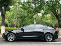 Tesla Model 3 556km Rear-Wheel Drive Edition - ფოტო 2