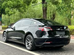 Tesla Model 3 556km Rear-Wheel Drive Edition - ფოტო 3