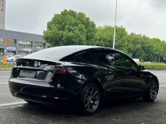 Tesla Model 3 556km Rear-Wheel Drive Edition - ფოტო 5