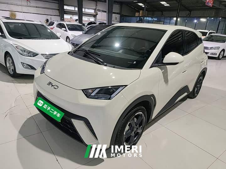 BYD Seagull Glory Edition 305km Freedom Version - ავტომობილი ჩინეთიდან