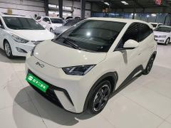BYD Seagull Glory Edition 305km Freedom Version - ფოტო 1