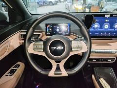 BYD Seagull Glory Edition 305km Freedom Version - ფოტო 10