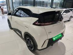 BYD Seagull Glory Edition 305km Freedom Version - ფოტო 4