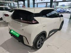 BYD Seagull Glory Edition 305km Freedom Version - ფოტო 6