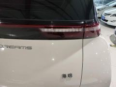 BYD Seagull Glory Edition 305km Freedom Version - ფოტო 7