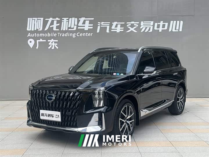 Trumpchi GS8 2024 Dual Engine Series 2.0TM Two-wheel drive Premium Edition