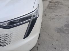Haval MAX PHEV 1.5L 105km AWDFlagship Edition - photo 4