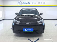 BYD Seagull Smart Driving Edition 305km Vitality Edition - фото 3