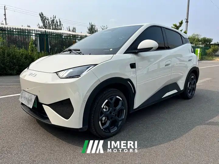 BYD Seagull Smart Drive Edition 405km Edition