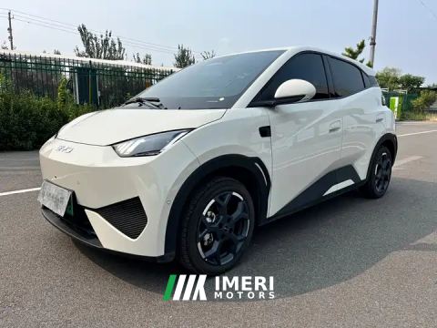 2025 BYD Seagull Intelligent Driving Edition 405km Free Edition - car from China