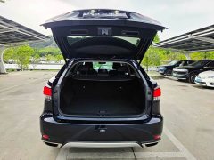 Lexus RX 2020 facelift 300 two-wheel drive elite version - ფოტო 14