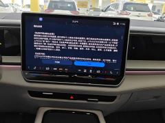 Volkswagen Teramont Pro 450TSI AWD Longitude Edition - ფოტო 13
