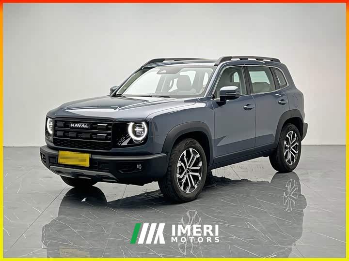 Great Wall Dachshund 1.5T DCT Border Collie Edition