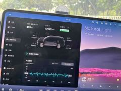 NIO ES9 102kWh Executive Island Signature Edition - фото 10