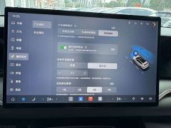 BYD Song Pro EV Flying Spur Edition DM-i 301KM Excellence Edition - фото 19