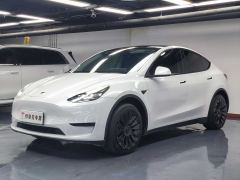 Tesla Model Y 554km Rear-Wheel Drive Edition - ფოტო 1