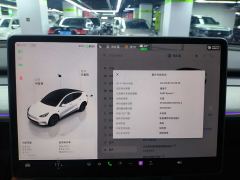 Tesla Model Y 554km Rear-Wheel Drive Edition - ფოტო 12