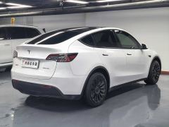 Tesla Model Y 554km Rear-Wheel Drive Edition - ფოტო 17