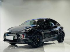 Tesla Model Y 554km Rear-Wheel Drive Edition - ფოტო 1