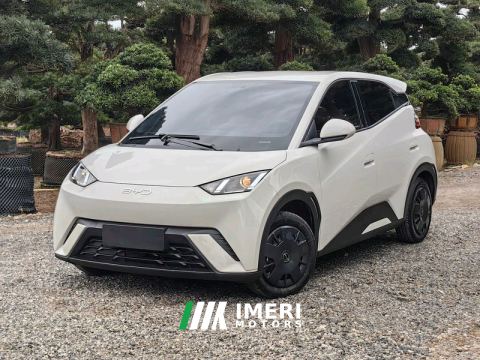 2024 BYD Seagull Honor Edition 305km Vitality Edition - ავტომობილი ჩინეთიდან