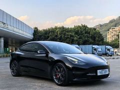 Tesla Model 3 Performance All-Wheel Drive - фото 3
