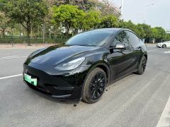 Tesla Model Y Standard Range RWD - photo 1