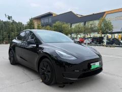 Tesla Model Y Rear-Wheel Drive - photo 3