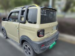 Geely Galaxy Panda 200km - ფოტო 4
