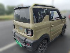 Geely Galaxy Panda 200km - ფოტო 6