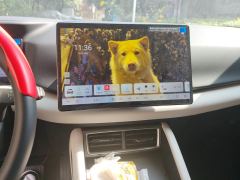 BYD Yuan UP Smart Driving Edition 401km Vitality Edition - ფოტო 17
