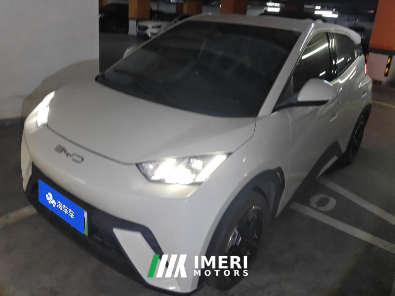 BYD Seagull 405km Flying Edition - car from China