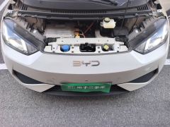BYD Seagull Smart Driving Edition 305km Free Version - photo 16