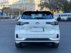 Changan Qiyuan Q05 Classic 60 Pro - ფოტო 11