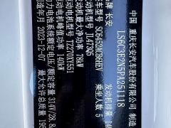 Changan Qiyuan Q05 Classic 60 Pro - ფოტო 15