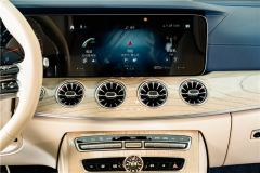 Mercedes-Benz E-Class (Imported) Facelift E 300 Coupe - фото 15