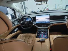 Denza D9 DM-i 980 Four-Wheel Drive Flagship - ფოტო 9