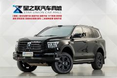 Tank 500 New Energy 2.0T Hi4-T Smart Edition - photo 1