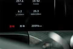 Tank 500 New Energy 2.0T Hi4-T Smart Edition - photo 10