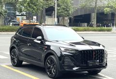 FAW Red Flag HS5 2.0T AWD Flagship Pro Edition - ფოტო 3