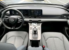 GAC Chuanqi Shadow Leopard 270T DCT R-Style Vigor Enjoyment Edition - photo 5
