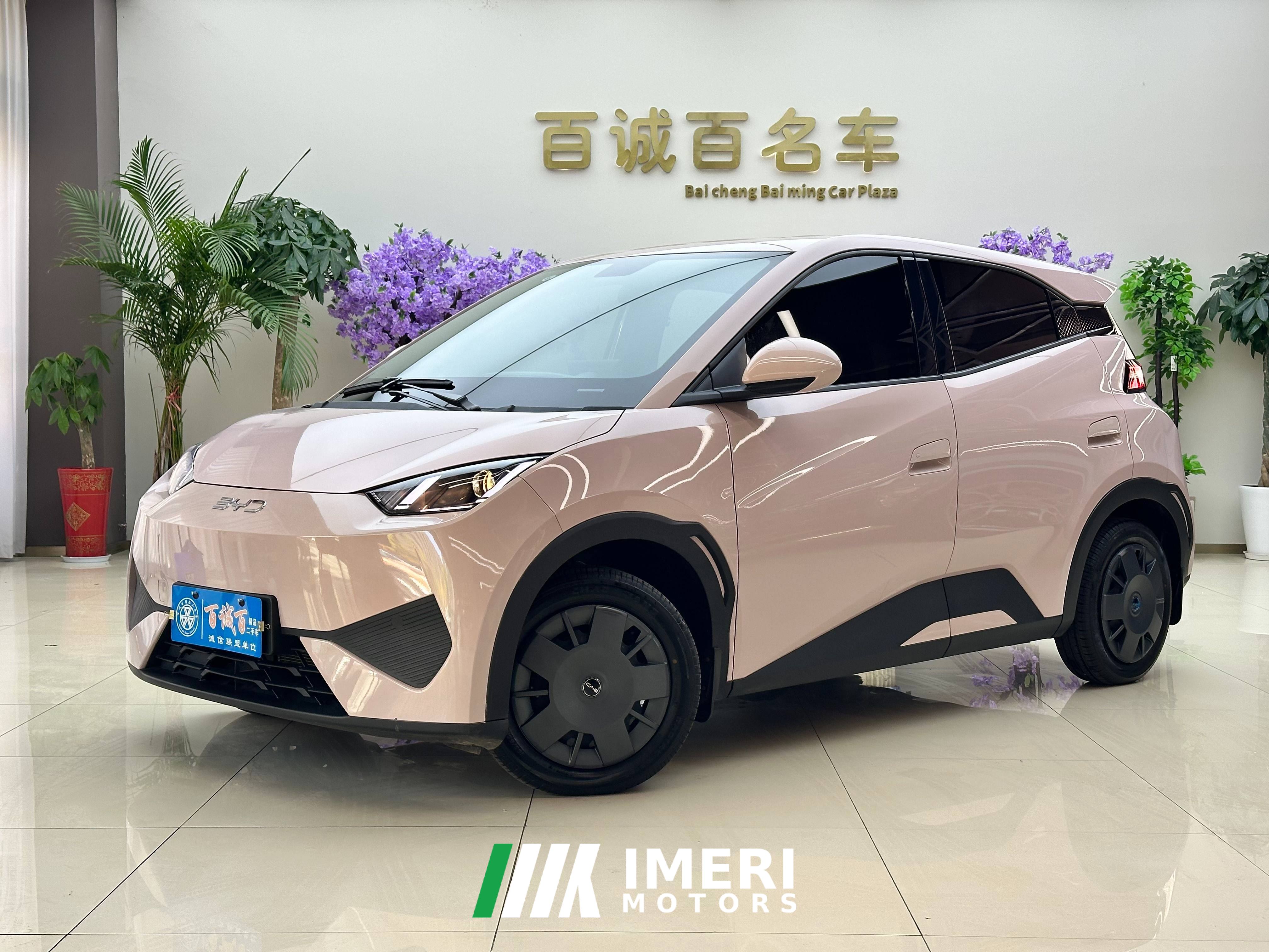 BYD Seagull 305km Vitality Edition