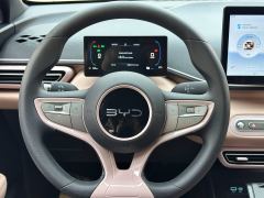 BYD Seagull 305km Vitality Edition - ფოტო 17